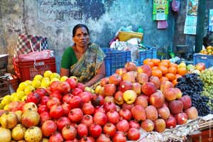 kerala