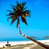 goabeach